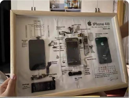 新興職業(yè)探秘 玩偶修復師、手機入殮師和貓糧品嘗師月入過萬的秘密